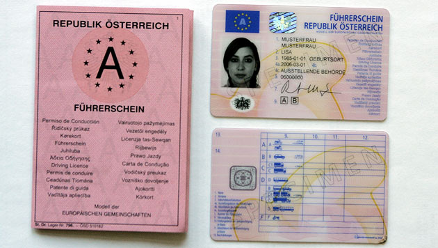 Rosa Führerschein Umtauschen Nachteile