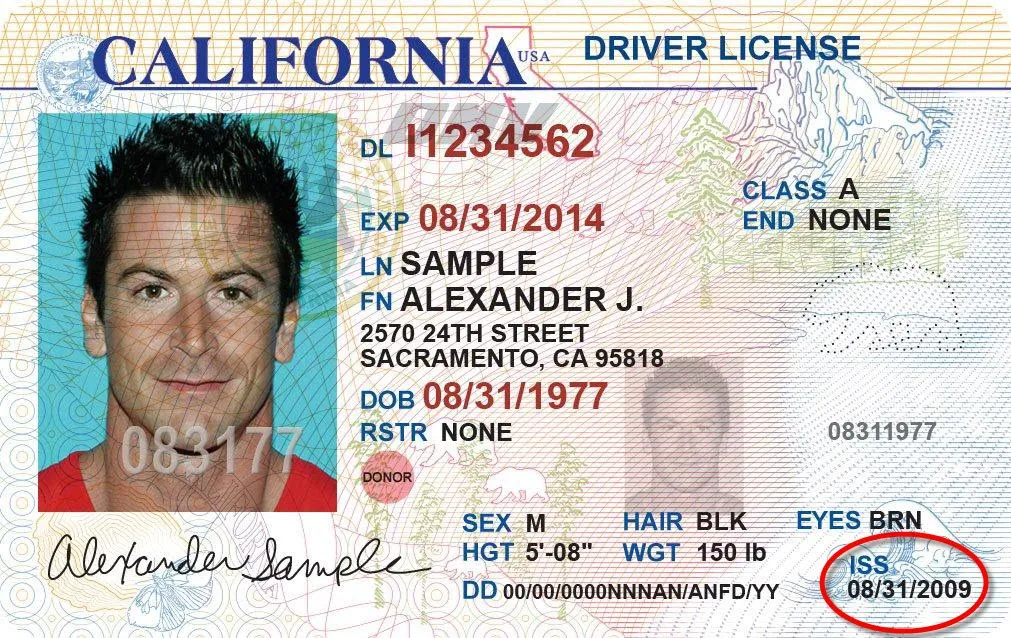 german drivers license in usa
