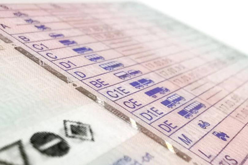 driving license in germany