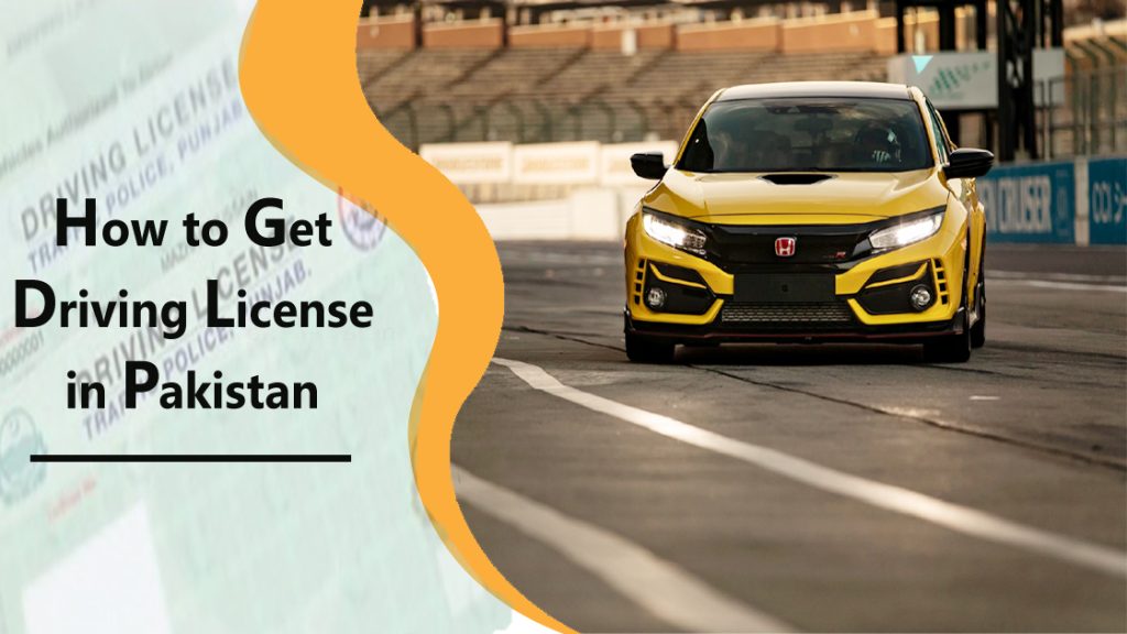 international driving permit