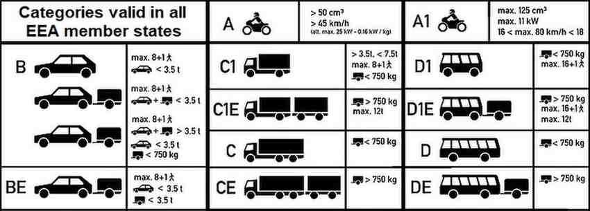 indian driving license in germany