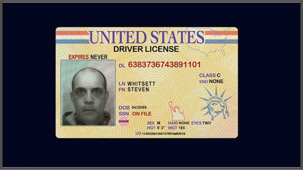 german drivers license in usa