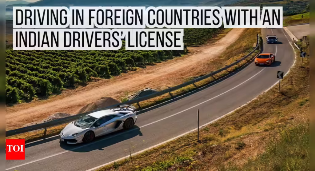 indian driving license in germany