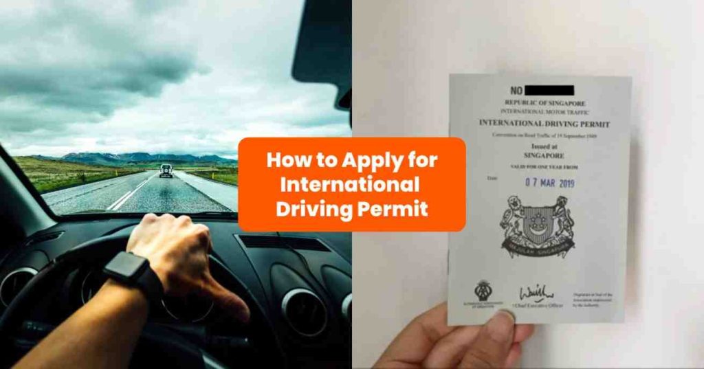 international driving permit