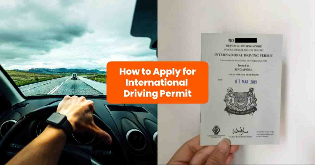 international driving permit