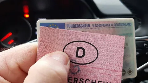 führerschein verloren